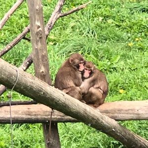 Meet your Posher, Denys